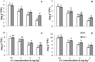 Glutamic Acid-Assisted Phytomanagement of Chromium Contaminated Soil by Sunflower (Helianthus annuus L.): Morphophysiological and Biochemical Alterations